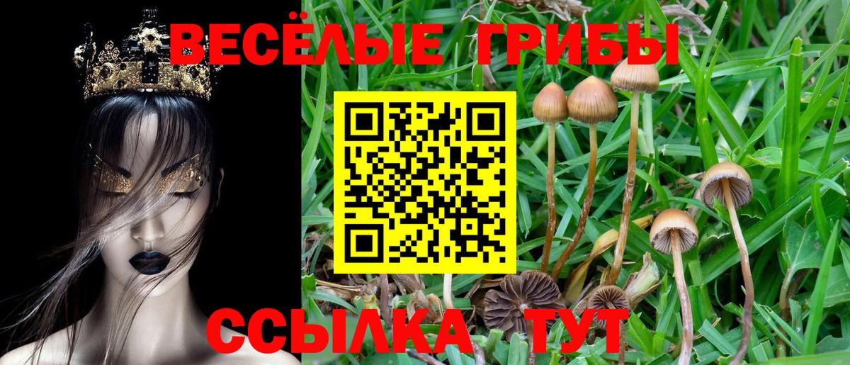 Псилоцибиновые грибы Cubensis  Вход с VPN  Ишим 
